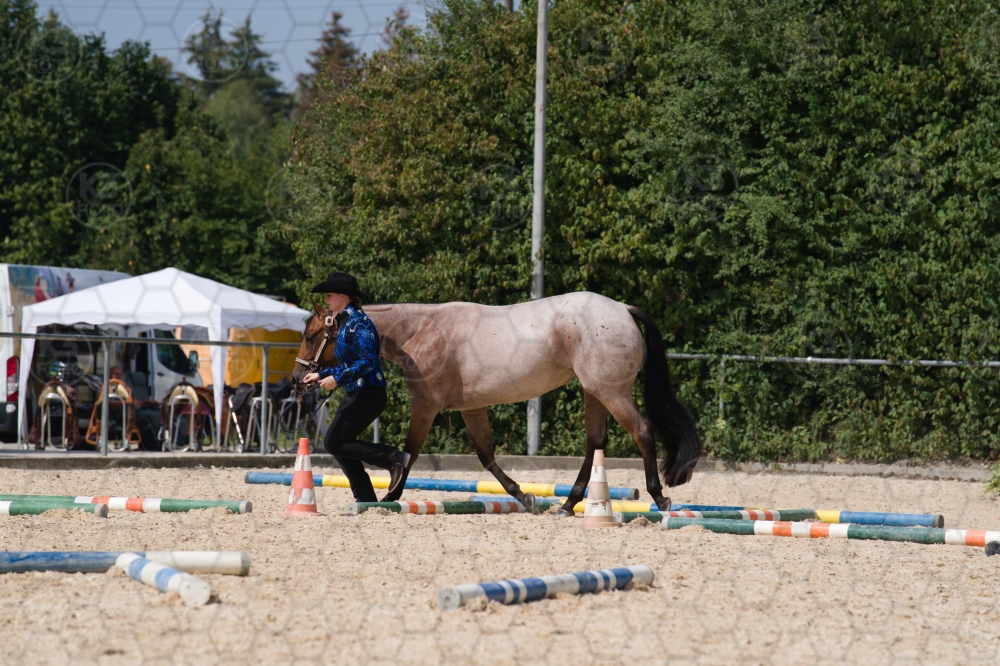 s_batch_A9_00166.jpg